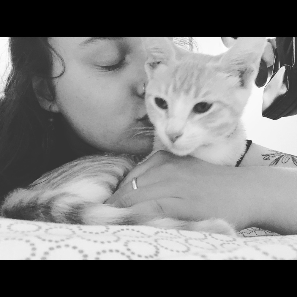 Meet your Posher, Abbie